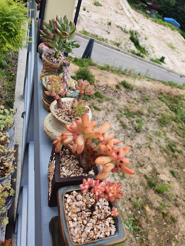 Comentarii opinii despre 피렌체로스터리카페