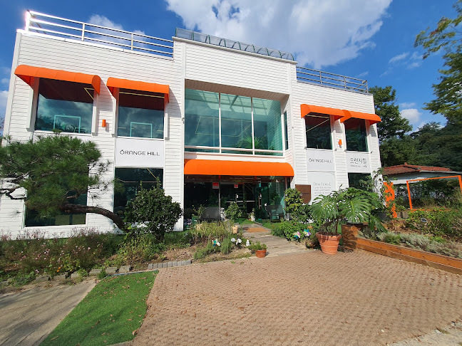 오렌지힐 - 과천시