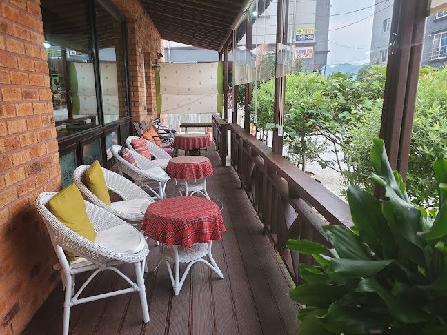 커피나무 - 사천시