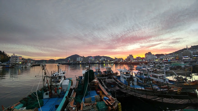 통영멸치 통영류가멸치 - 통영시