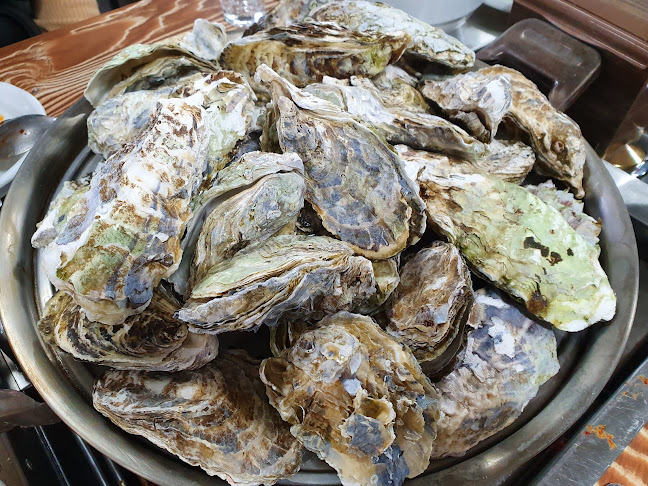 Comentarii opinii despre 갯벌스타일