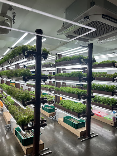 살라트&올되다 - 진주시