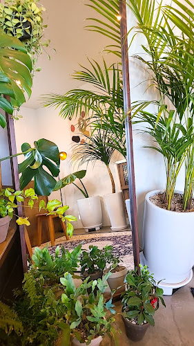 카페덕덕 - 강릉시