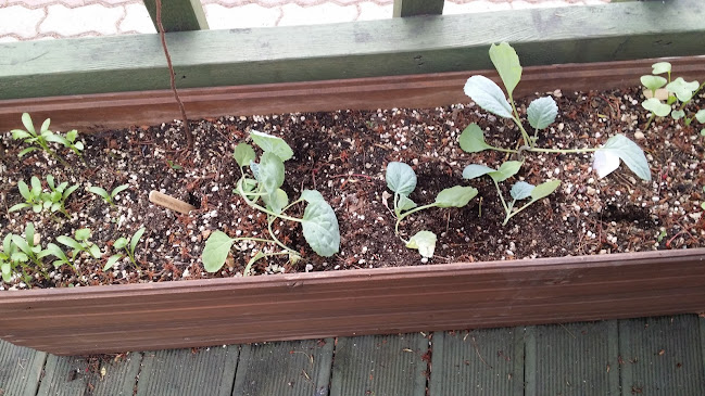 저녁마실 - 통영시