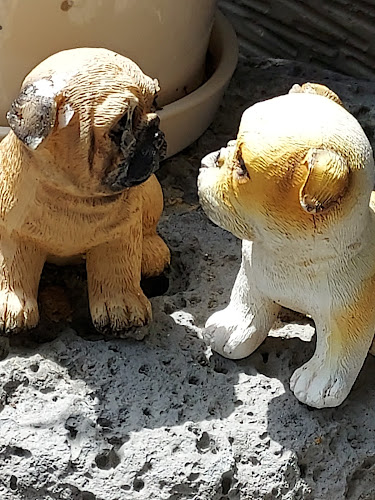 Opinii despre 한소끔 în 목포시 - 외식업