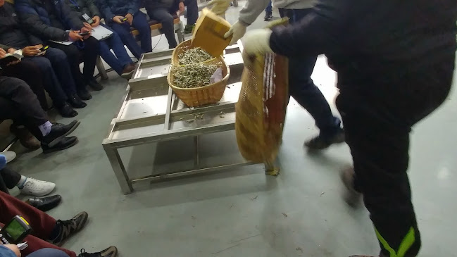 Opinii despre 통영멸치 통영류가멸치 în 통영시 - 외식업