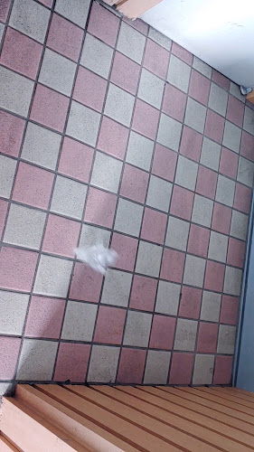 맥도날드 울산SK DT점