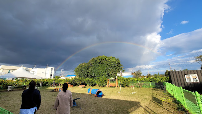 제주펫 - 외식업
