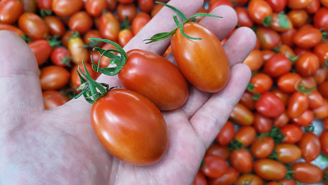 Opinii despre 팜유팸 (미리벌팜) în 밀양시 - 외식업