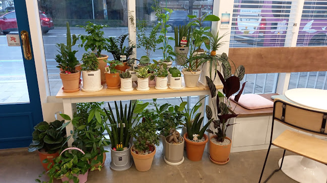 플라워카페1002 - 외식업