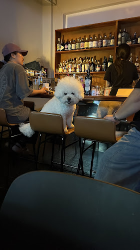 목마른거북이 Thirsty Turtle Bar - 외식업