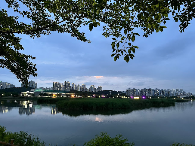 Coffee 3 - 안산시