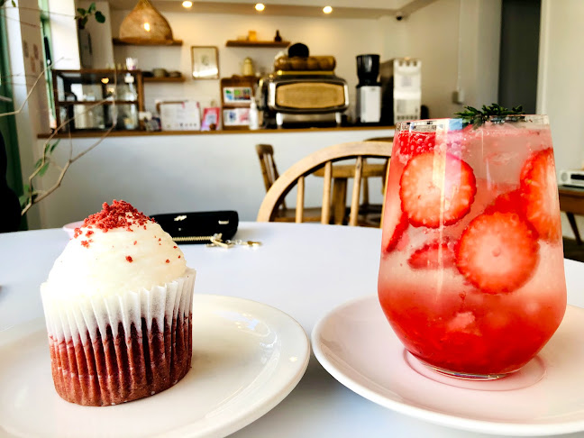 노브일리 - 강릉시