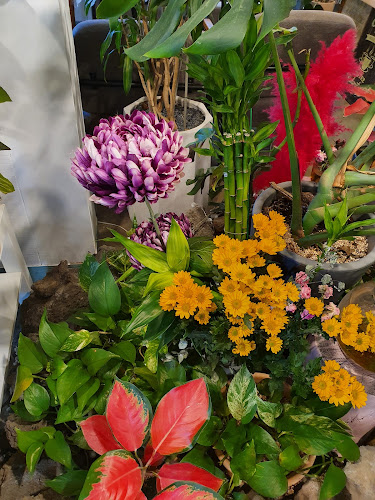 Opinii despre 라니아카페 în 김해시 - 외식업