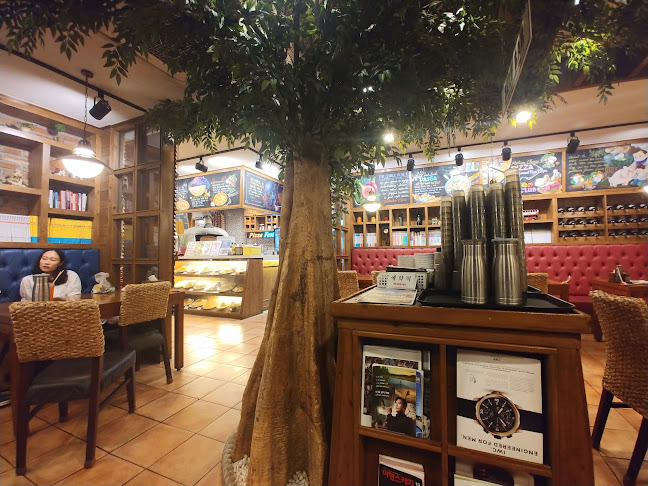 돈까스클럽 - 외식업