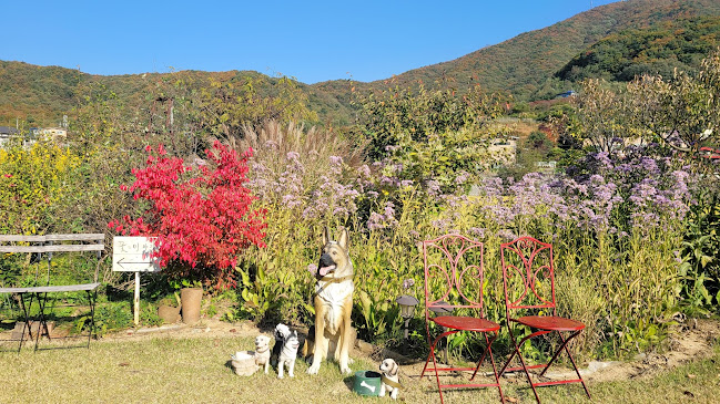 꽃이야기 - 외식업