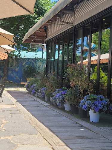 경기도 고양시 일산동구 풍동 611