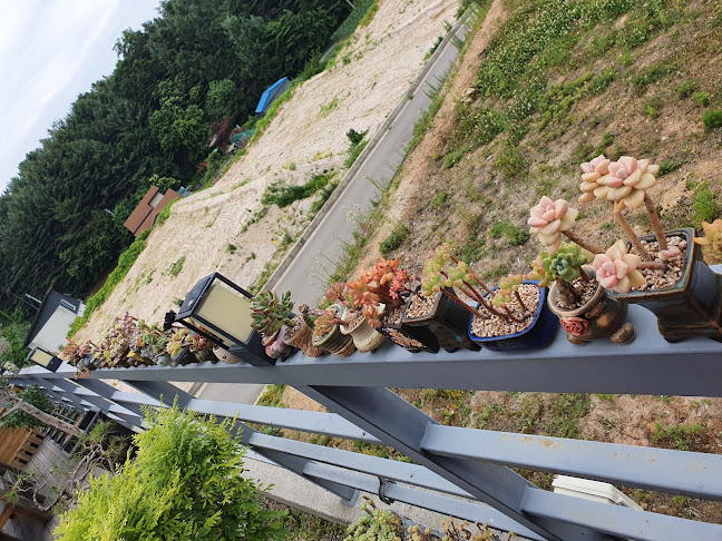 피렌체로스터리카페 - 춘천시