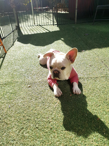 경기도 수원시 영통구 망포동 599-1