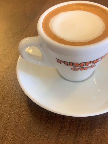 펌킨 오울 - 강릉시