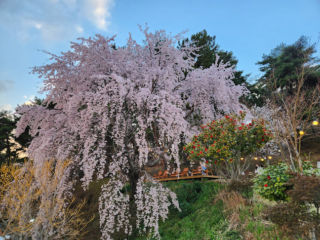 엔제리너스 진주금호못점 - 진주시