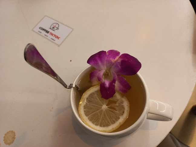 Comentarii opinii despre 커피틱톡