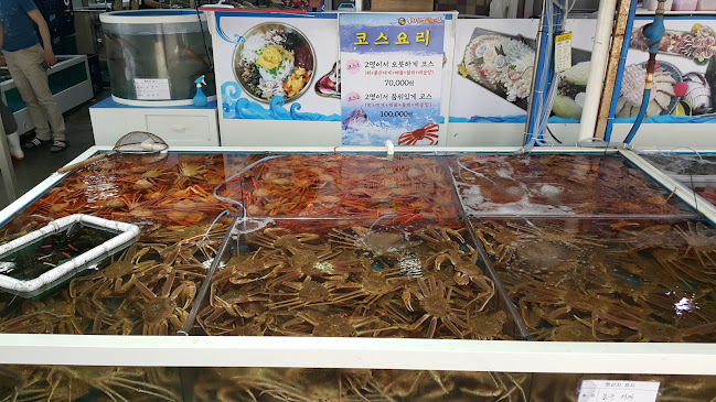 경상북도 포항시 북구 죽도동 572-2