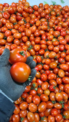 Comentarii opinii despre 팜유팸 (미리벌팜)