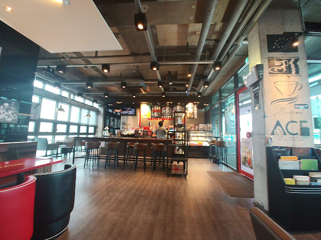 파스쿠찌 제주 탑동점 - 외식업