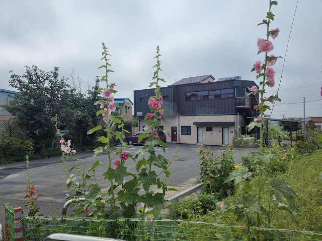 Comentarii opinii despre 콩카페