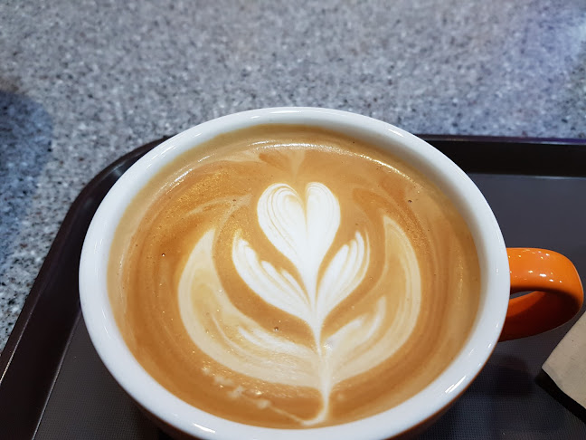 카페 바다뷰 - 속초시