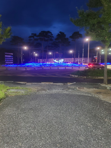 황금코다리 정읍점 - 정읍시