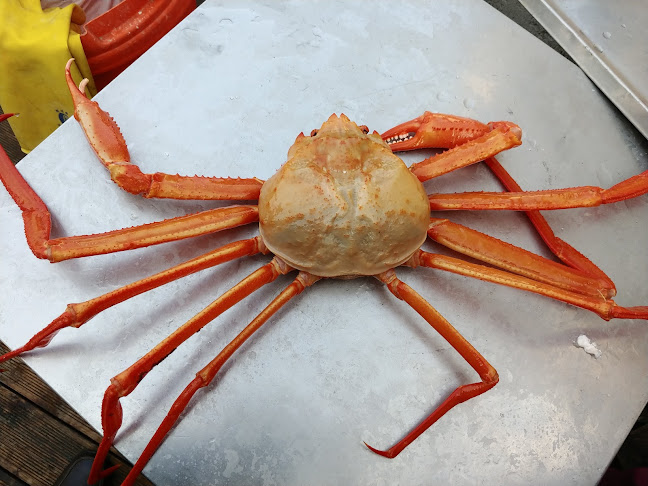 동명항대게마을 - 외식업