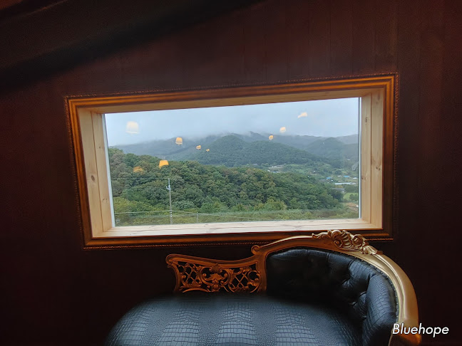 파인힐 커피하우스 - 외식업