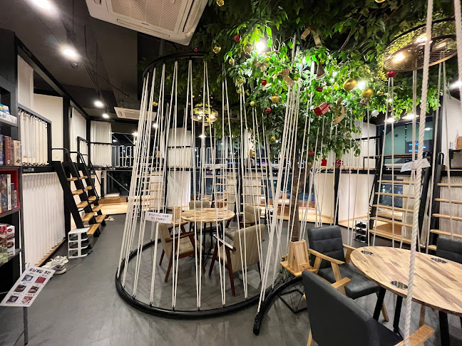 Opinii despre 정글비 하남미사점 în 하남시 - 외식업